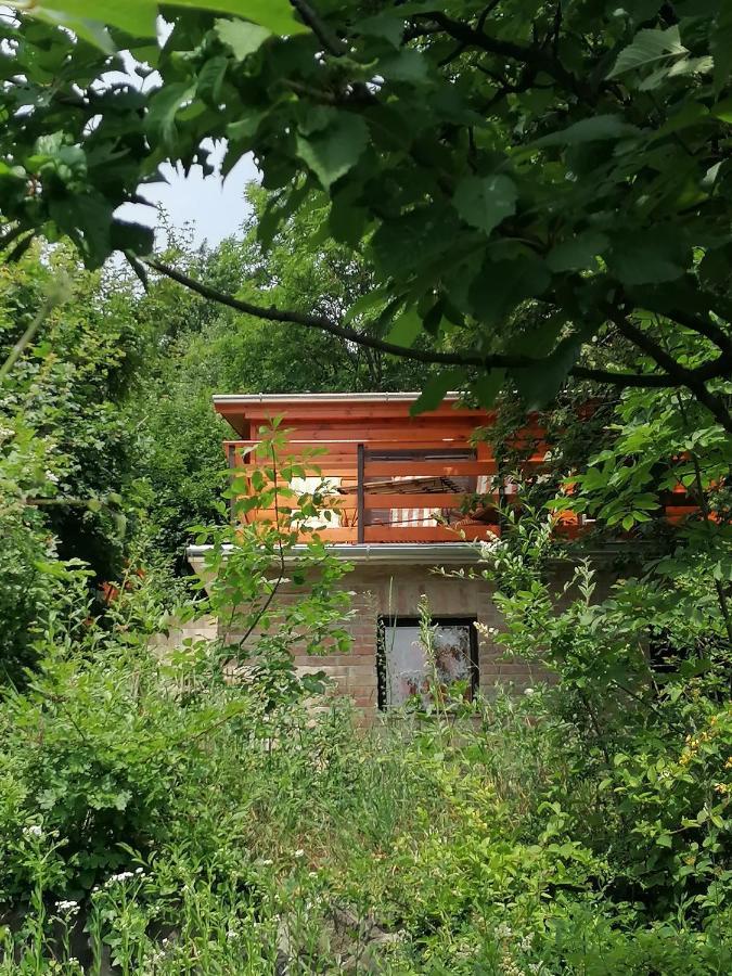 Barkoca Es Szepkilatas Vendeghaz / Cabin Kismaros Exterior photo
